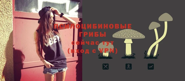 кокаин перу Каменногорск