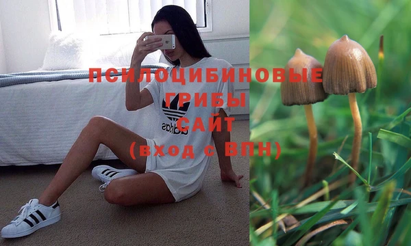 COCAINE Каменка